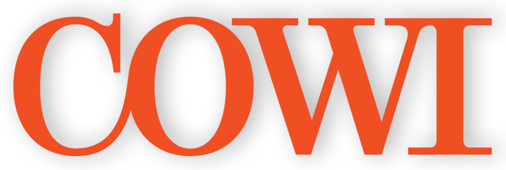 Success story: COWI schools 8 Logo COWI stín v6